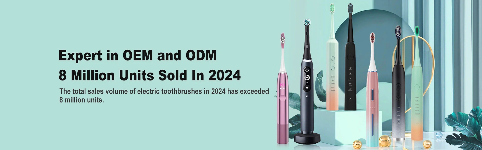 Sonic Electric Toothbrush